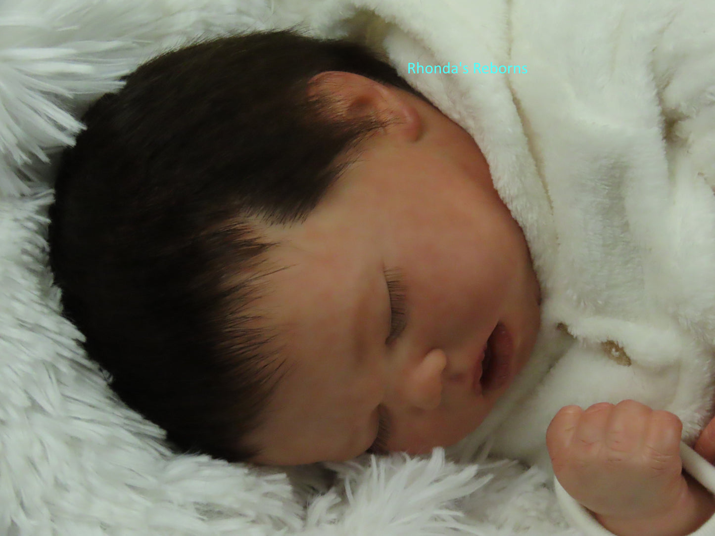 Harlow Asleep