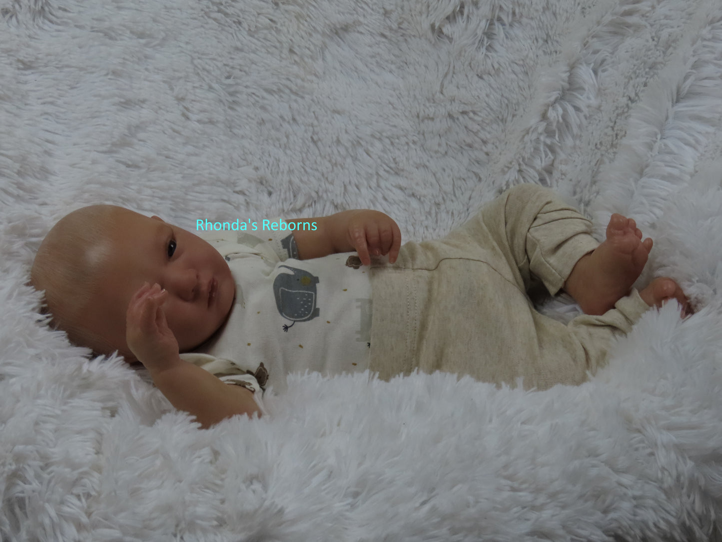 Logan Awake - Custom Reborn Baby