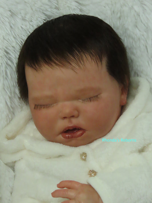 Harlow Asleep