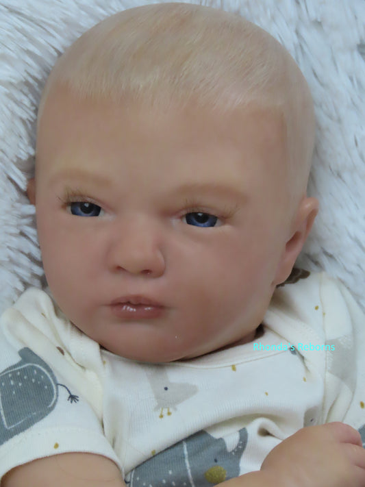 Logan Awake