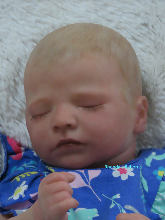 Quinn Asleep