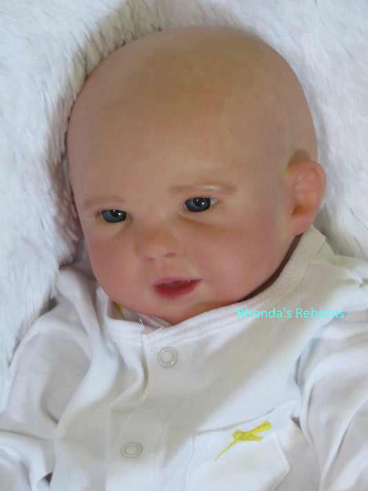 Raine